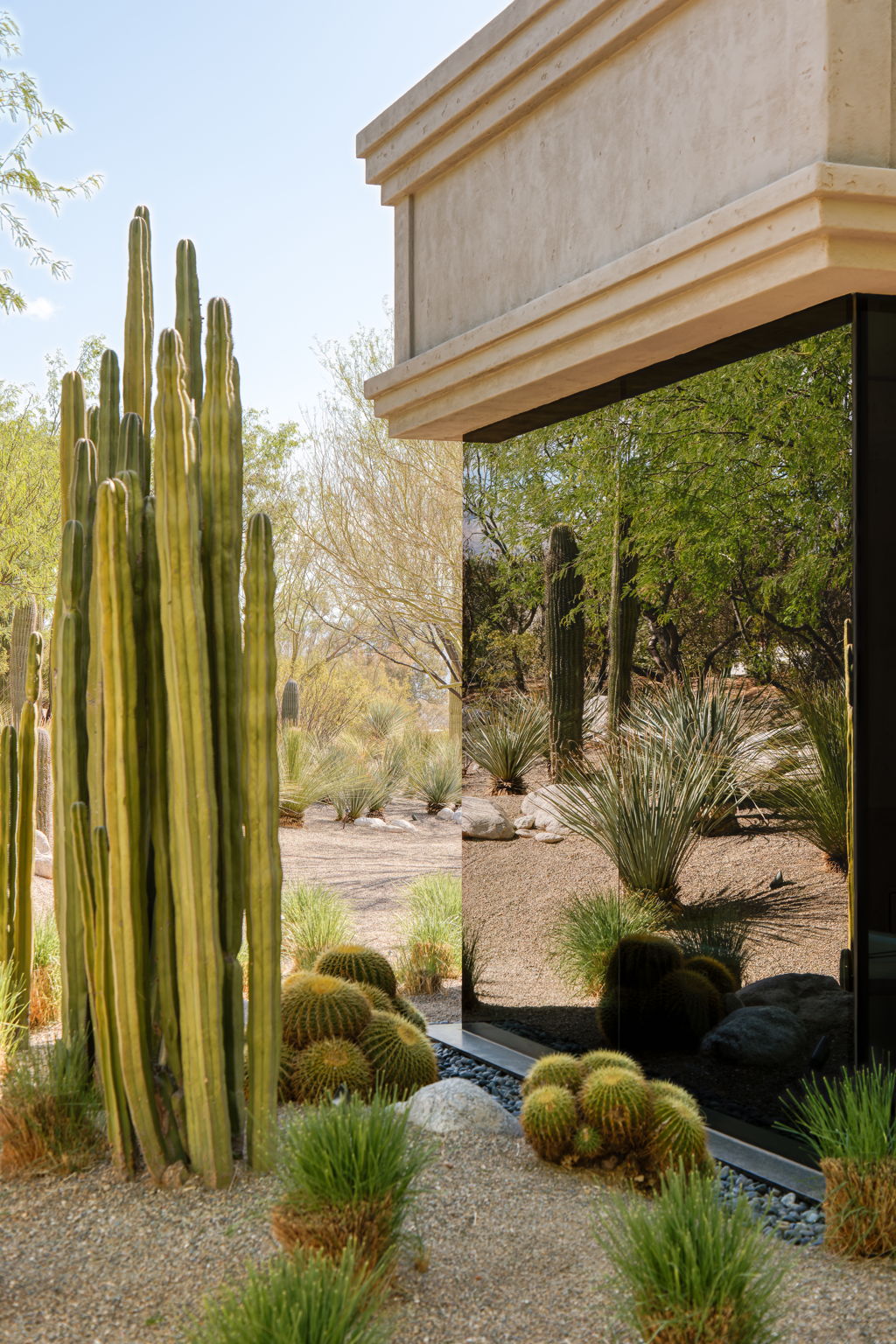Canyon Ranch Estate — cacti and glass corner detail