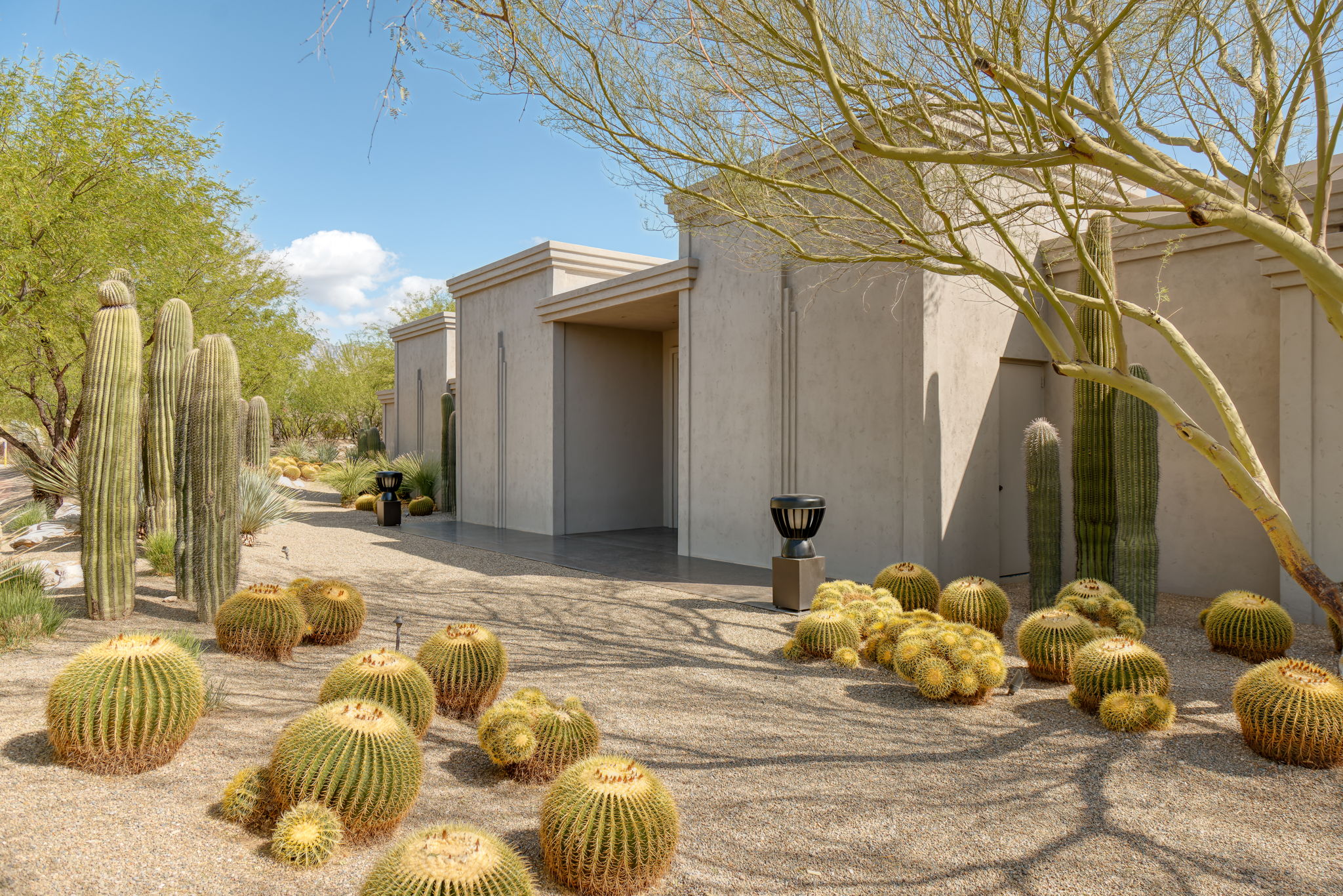 Canyon Ranch Estate — daylight approach through cacti