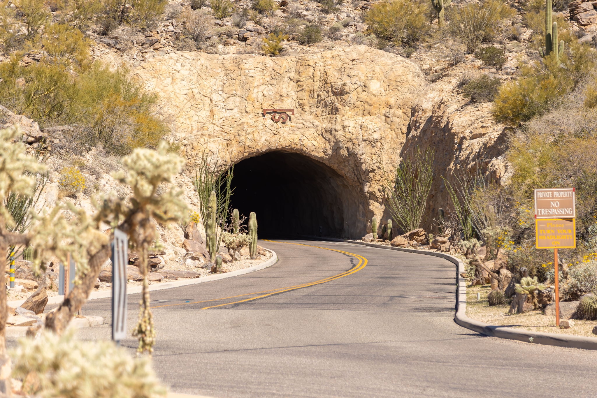 The entrance to the Saguaro Ranch tunnel &mdash; a low arched opening in rough-cut stone, the road curving into darkness, desert vegetation and saguaros flanking both sides, a private property sign at right.
