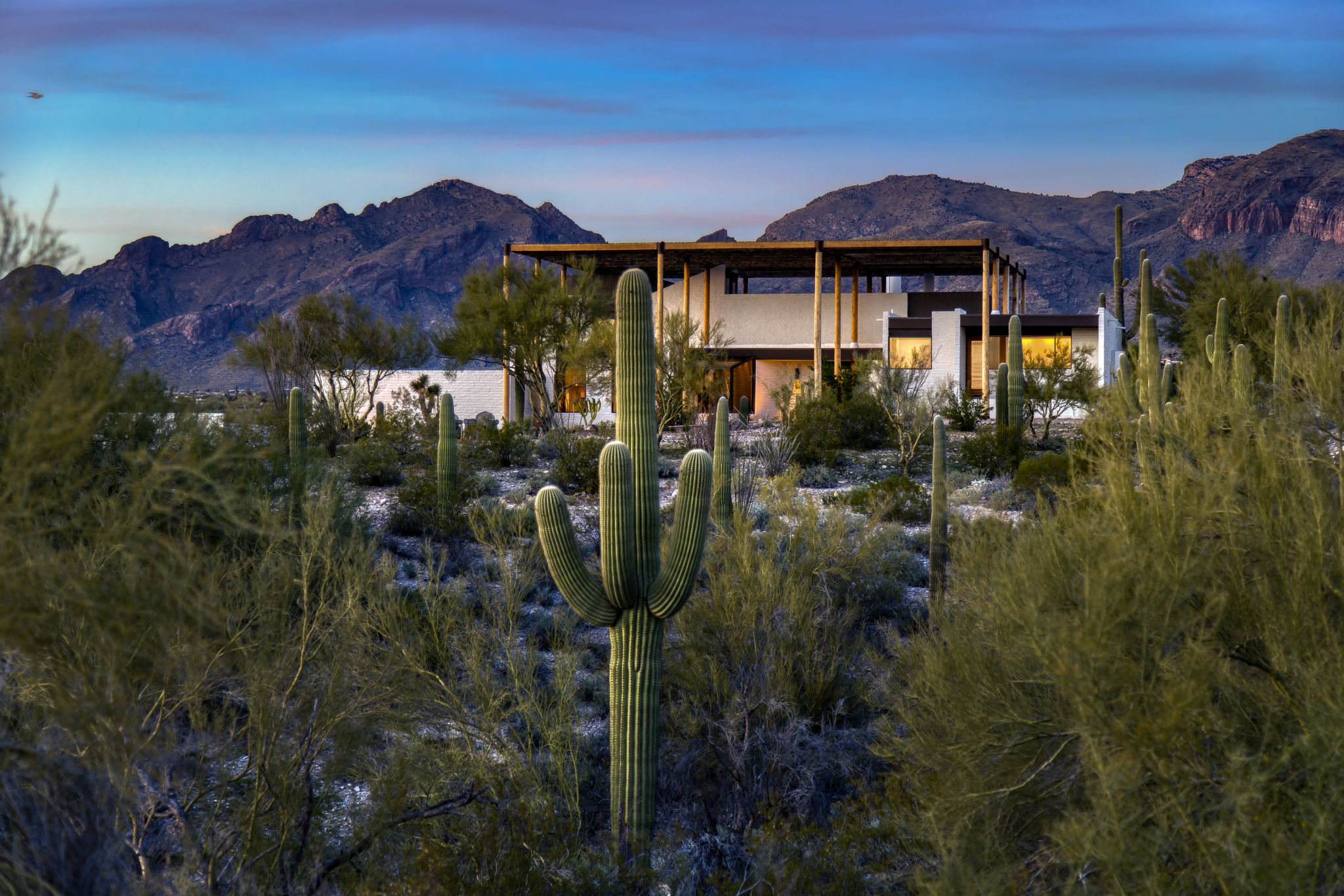 The Ramada House by Judith Chafee